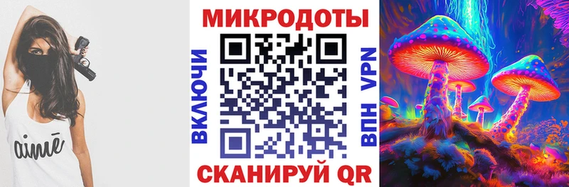 Псилоцибиновые грибы Psilocybe  Купить где  Баймак 